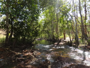 Trail from Buley to Florence Falls