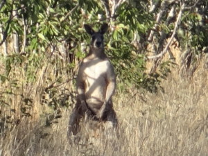 Im not wearing any pants - do you mind !!